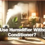 Can I Use Humidifier Without Air Conditioner